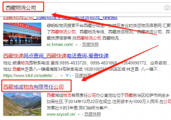 西藏域誠物流有限責任公司與我司做網(wǎng)站推廣項目