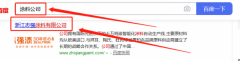    浙江志*涂料有限公司百度排名快照案例欣賞