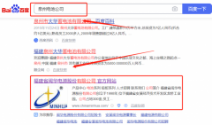 福建省*華電源股份有限公司網(wǎng)站排名案例欣賞
