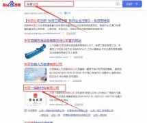 東營一*新材料有限公司網(wǎng)站優(yōu)化案例欣賞