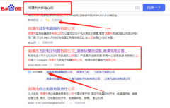 湘潭市飛*電子電器有限公司網(wǎng)站SEO優(yōu)化品牌營銷策劃機構