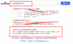 上海西*電子科技發(fā)展有限公司關(guān)鍵詞推廣到首頁無排名不收費