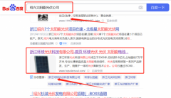 浙江環(huán)*光伏科技有限公司網(wǎng)站排名營(yíng)銷(xiāo)優(yōu)化公司